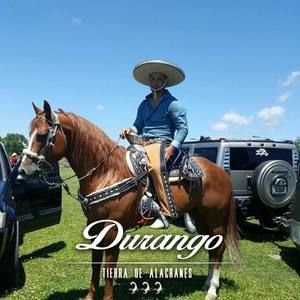 Meet your Posher, Samuel